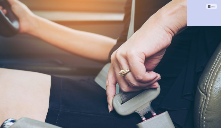 License Suspension or Revocation