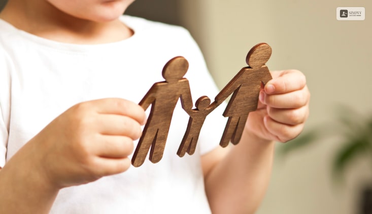 What Are The Different Types of Custody?