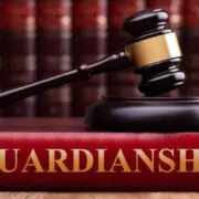 How To File For Guardianship In The US