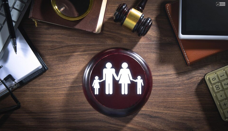 Understanding American Family Law