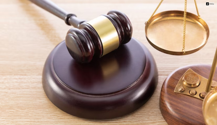 What Is a Court-Appointed Guardian?