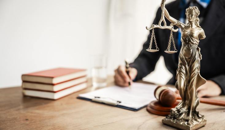 Key Aspects of Legal Representation and Defense Strategy