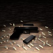 Firearms lawyer