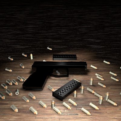 Firearms lawyer