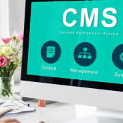Headless CMS