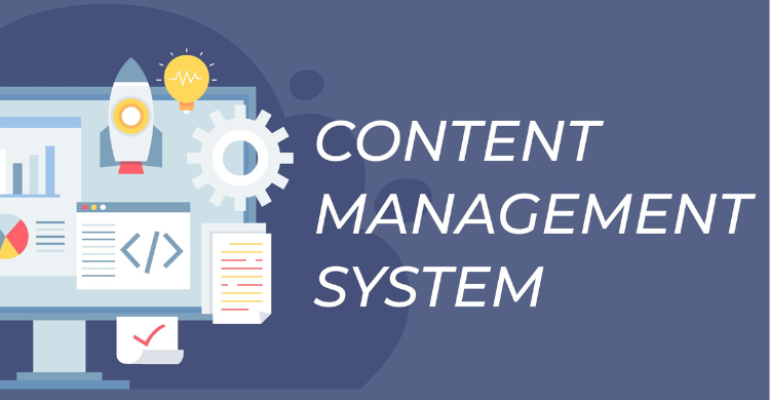 Audience Segmentation Through Headless CMS
